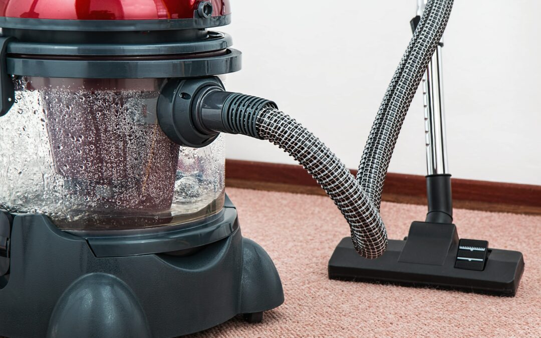 Learn How to Start a Carpet Cleaning Business from Home