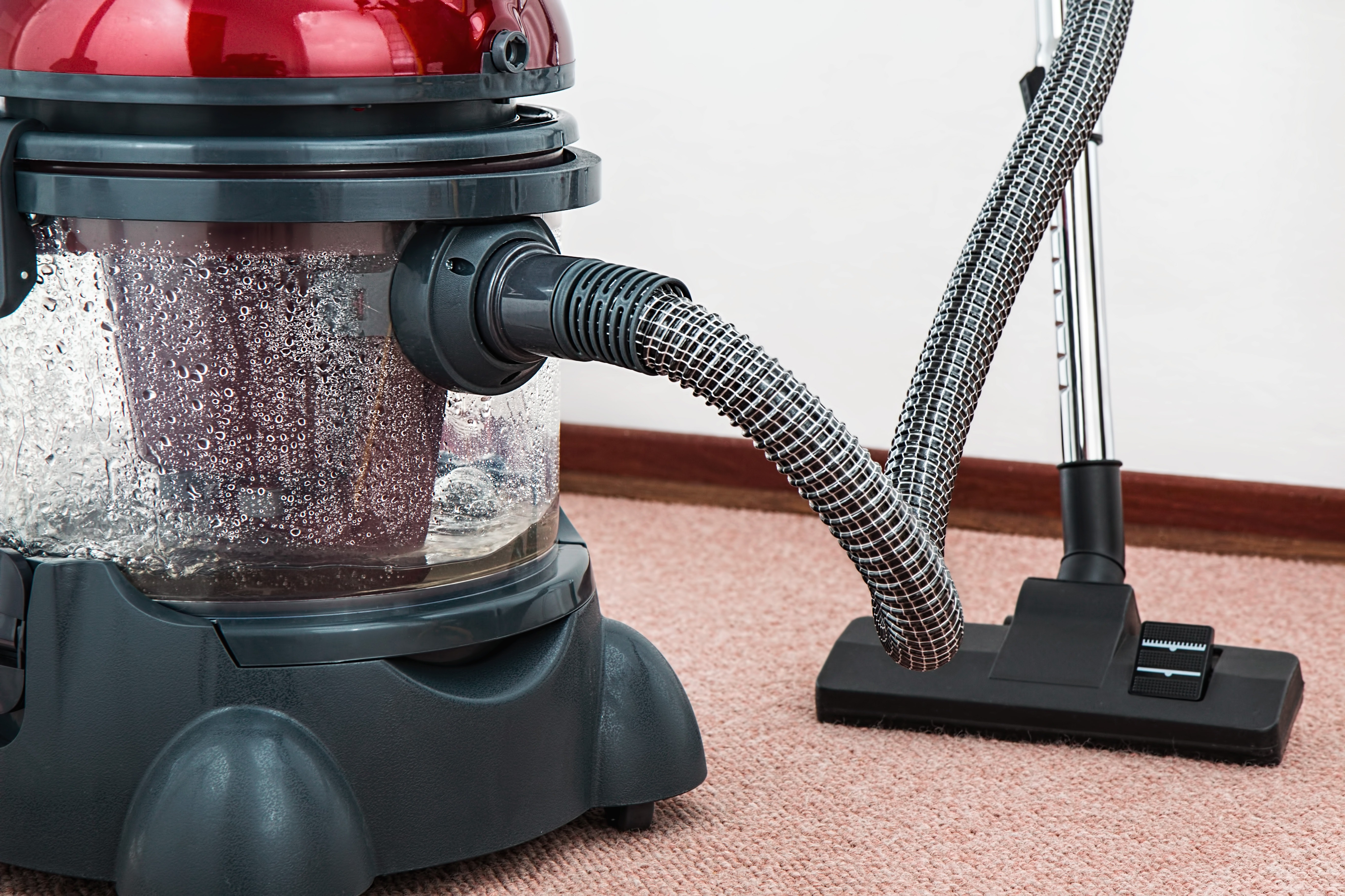 How to start a carpet cleaning business from home