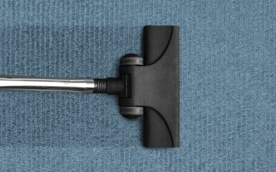How to Start a Carpet Cleaning Business in 9 Easy Steps