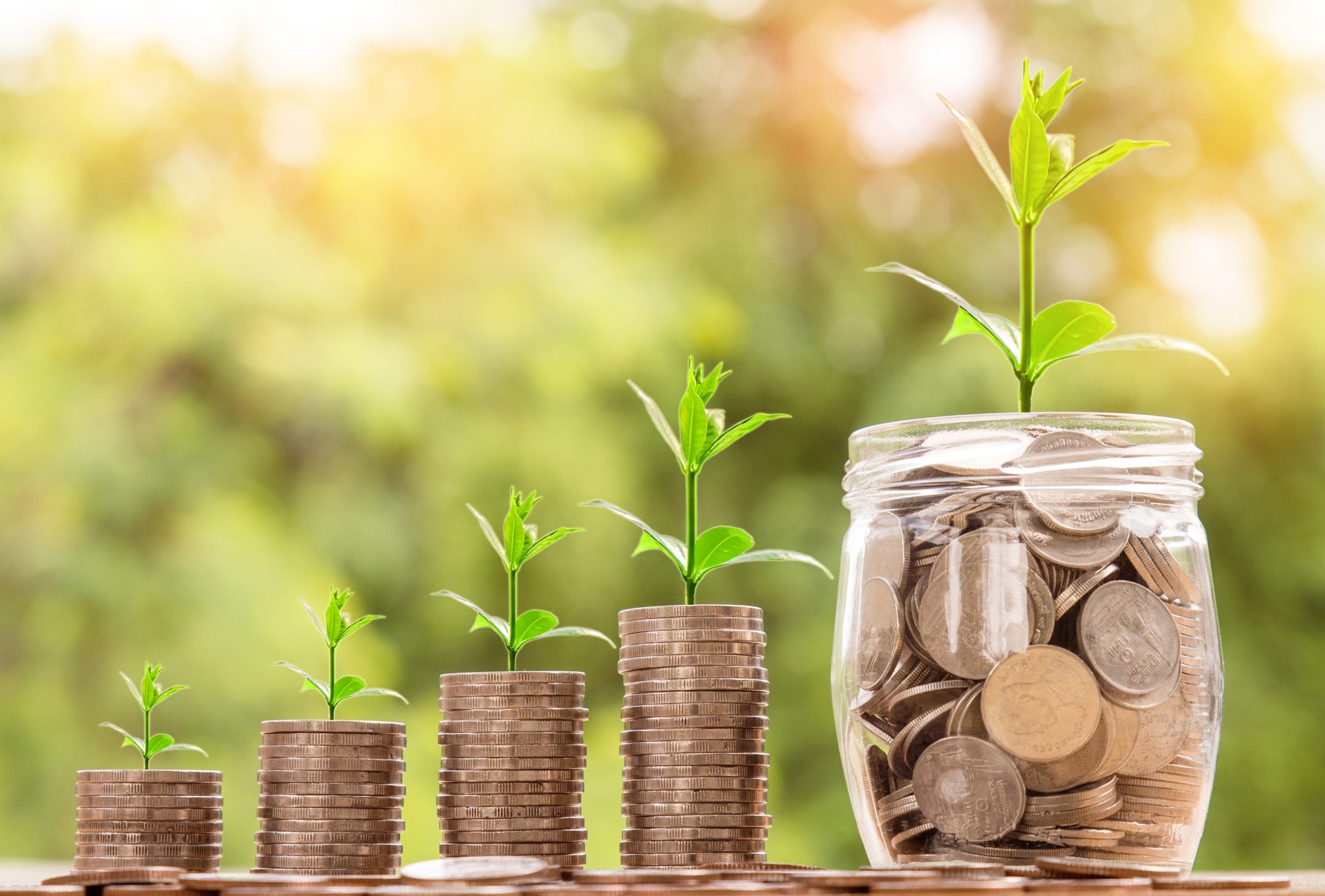 Growth Loan